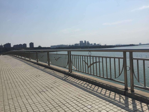 河道不銹鋼護(hù)欄